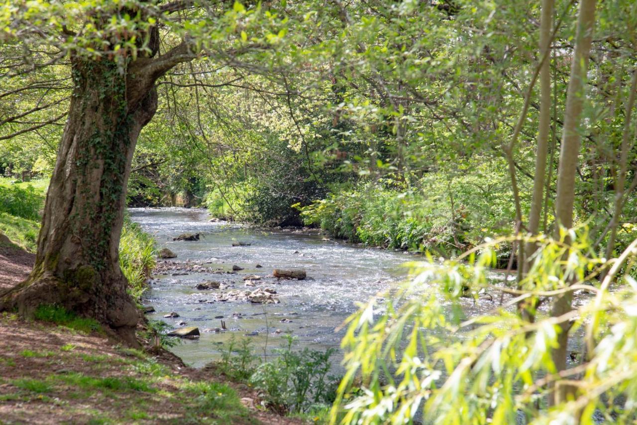 Orchard Cottage Sidmouth Bagian luar foto